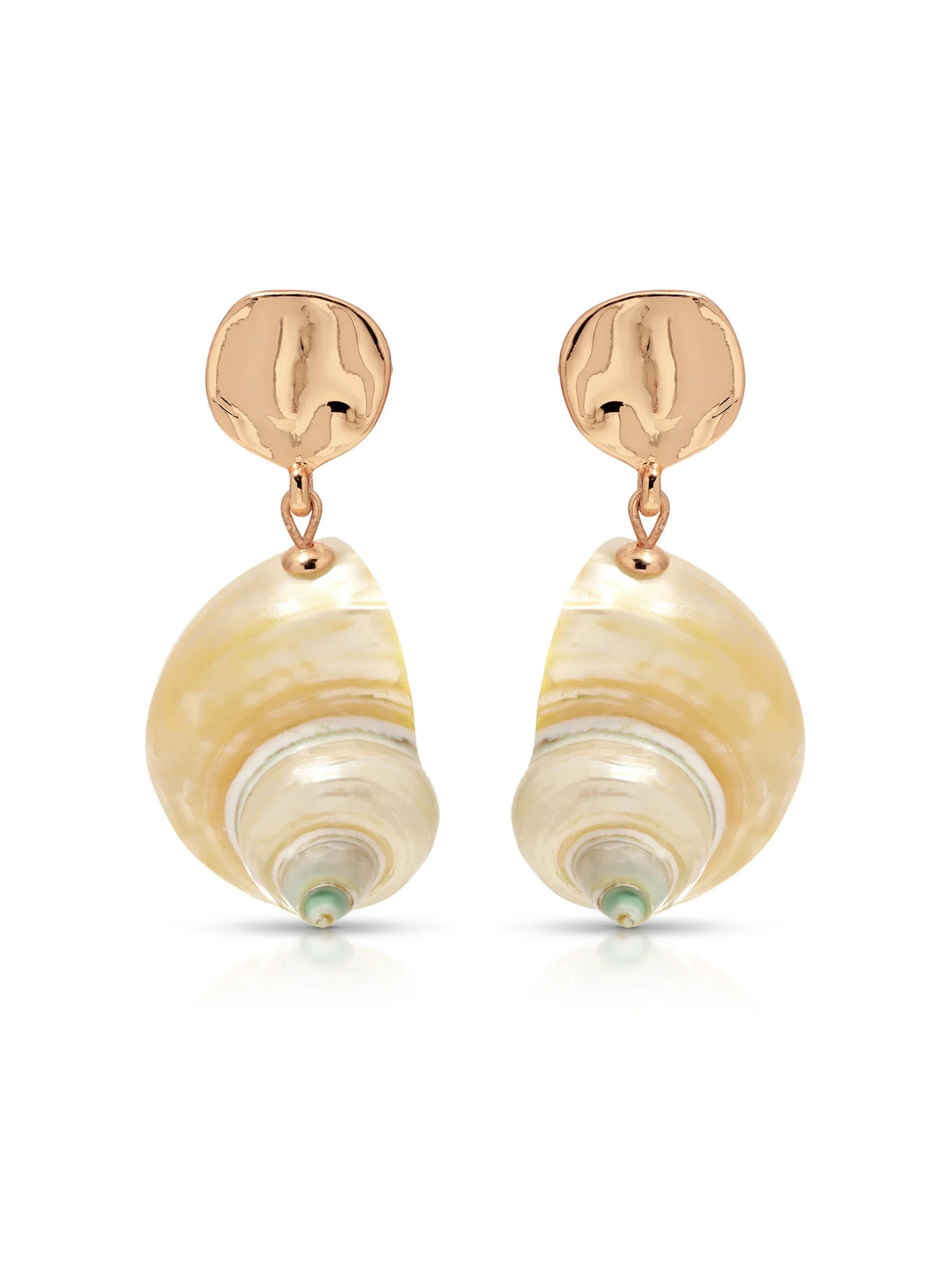 Sunken Treasure Shell Earrings