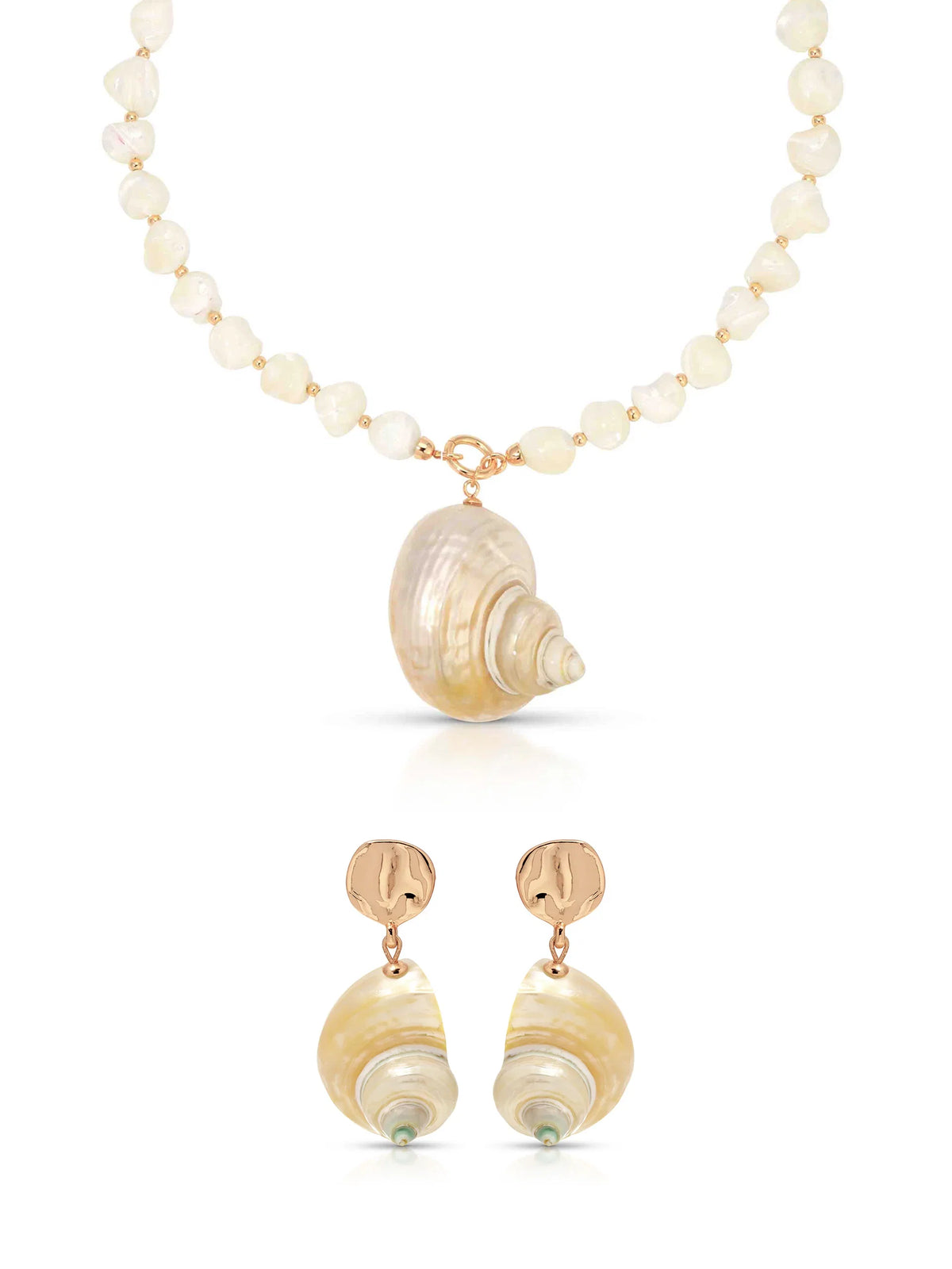 Sunken Treasure Shell Set